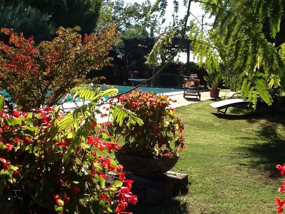 Villa Casa La Quiete Torgiano Esterno foto